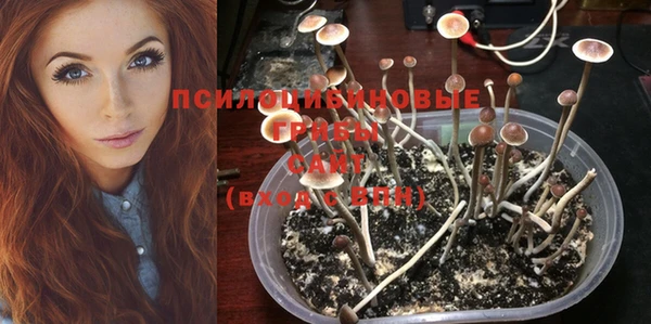 Альфа ПВП Бронницы