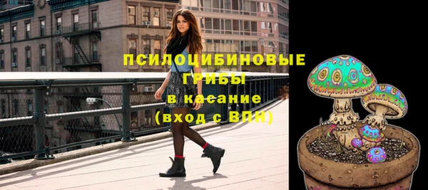 прущая мука Бородино