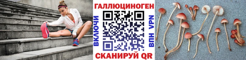 Псилоцибиновые грибы Magic Shrooms  Дальнегорск 
