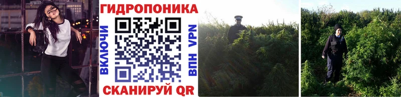 Марихуана VHQ  мега ссылка  Дальнегорск 